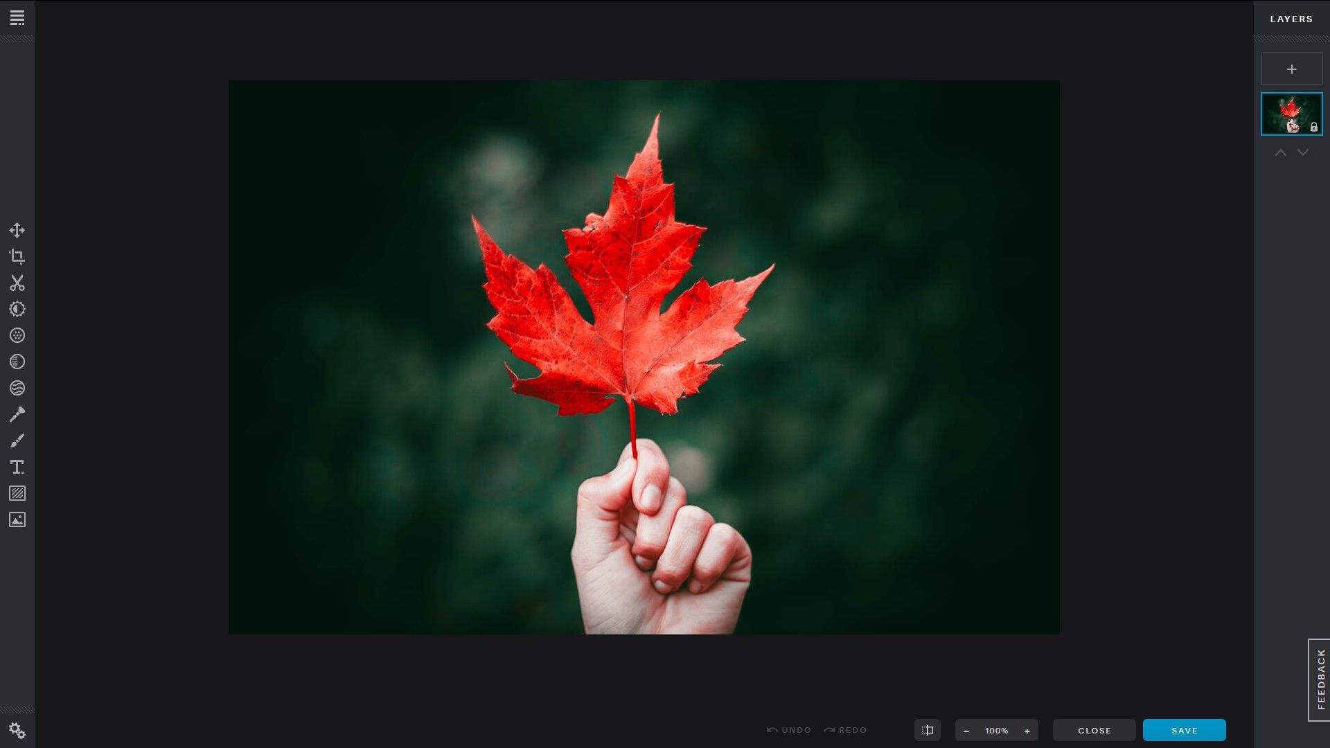 Captura de ecrã do editor Pixlr